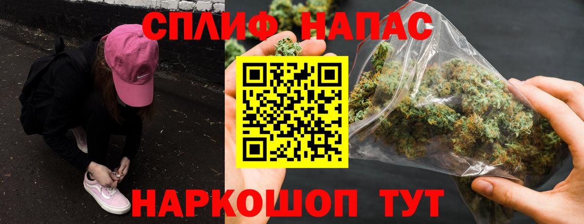 Бошки Шишки планчик Когалым
